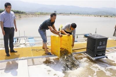 宁波一成校开发池塘养殖新技术 能自动净化水质