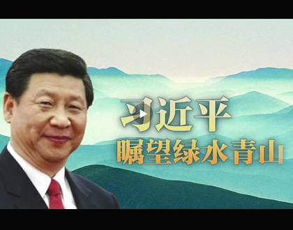 微视频:习近平瞩望绿水青山