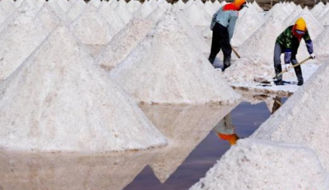 宁波盐改方案公布 企业自主定价 以自有品牌