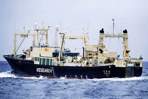 日本政府被曝将出动军事装备与武器保护捕鲸船-新闻中心-中国宁波网