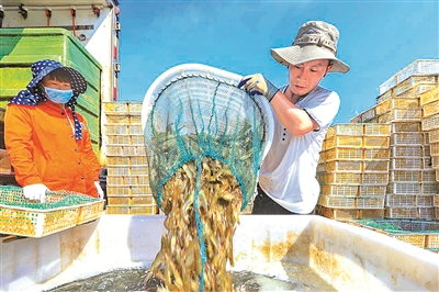 金融活水助水产养殖