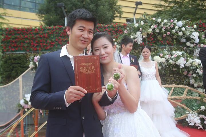 捐资种树不办婚宴 杭州新人举行低碳婚礼