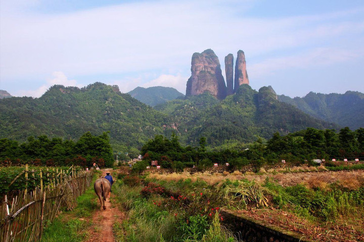 又是一年重阳节 登高赏秋浙江人去哪里