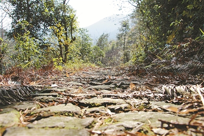 竹马岭古道:拥一湖诗意 享一路心闲-鄞州新闻网-中国宁波网