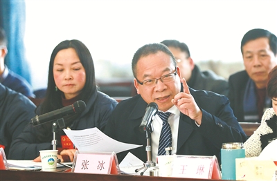 经济发展高质量 百姓生活高水平 代表委员对这