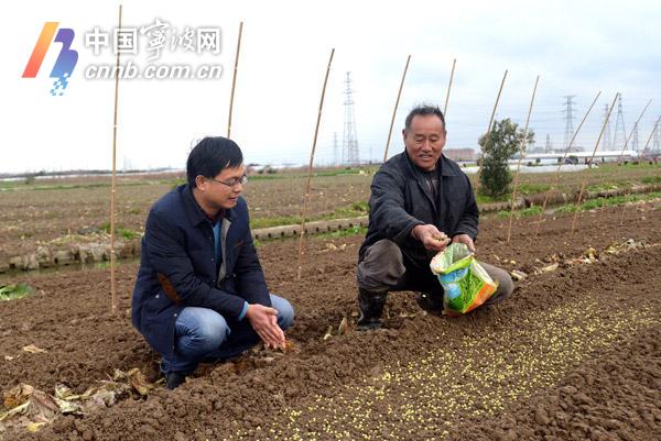 长河镇人口_长河镇地图