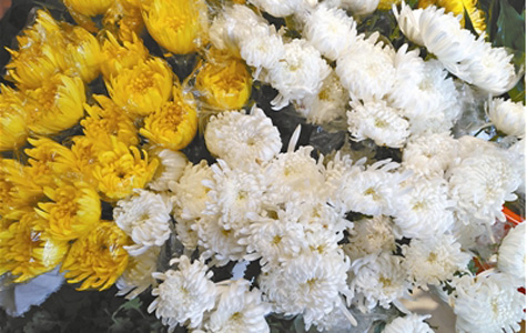 �����ٽ������ջ������۳���õ�� ��ɫ���л�����ֱ������