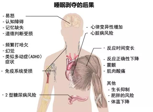 熬夜真的会早死吗？近50万人样本的研究的结果是...... 贷款 第3张