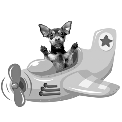 可以把狗狗带上飞机吗?目前宁波机场有宠物托