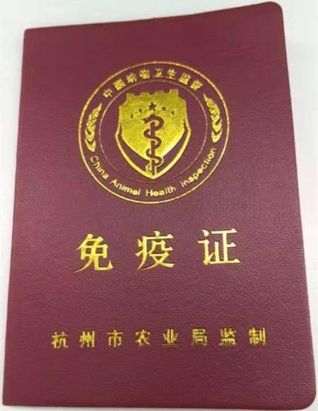 杭城犬类免疫点爆仓等着打疫苗的狗狗一直排到马路上