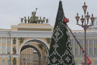 圣彼得堡布置枞树迎接新年