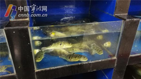 微信图片_20190111164042.jpg