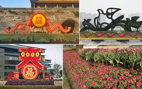 宁波街头花团锦簇喜迎春节