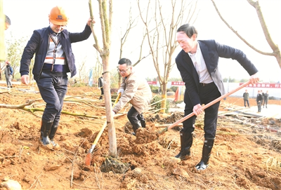 区领导参加义务植树活动