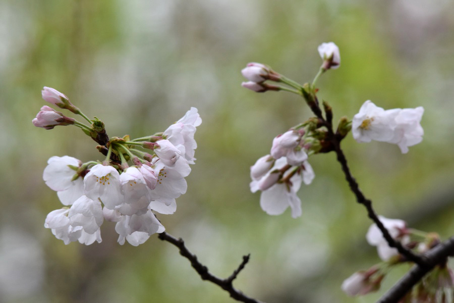 DSC_1660_调整大小.JPG