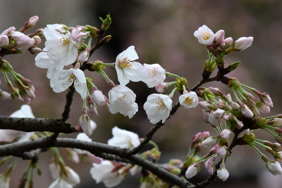 DSC_1653_调整大小.JPG