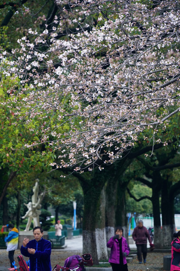 DSC00369_调整大小.JPG
