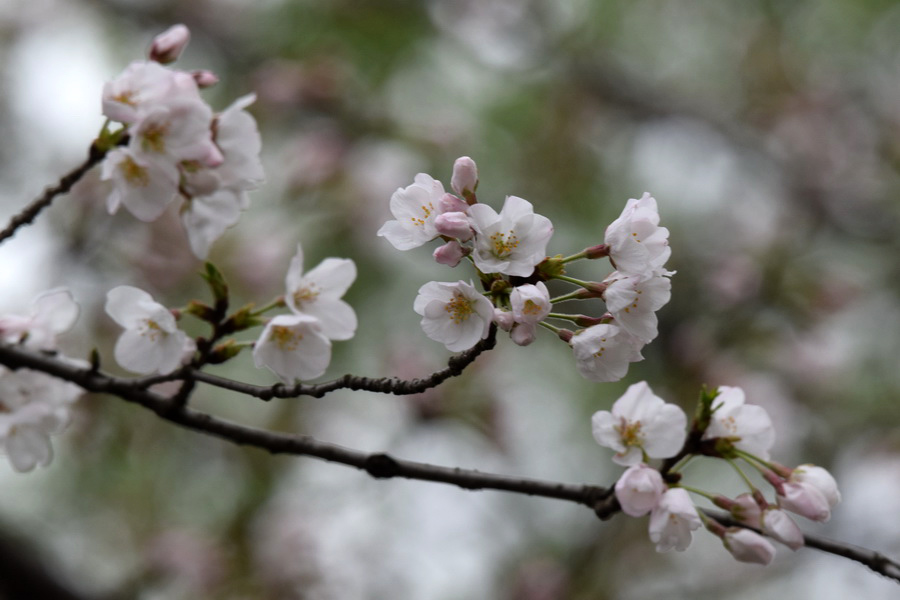 DSC_1631_调整大小.JPG