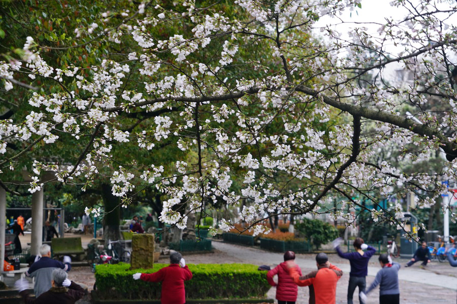 DSC00407_调整大小.JPG