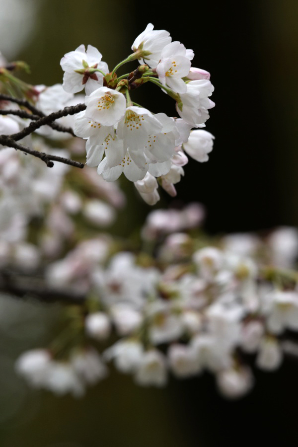 DSC_1644_调整大小.JPG
