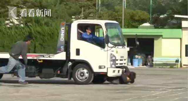 学校为安全教育还原车祸现场 特技演员惨被真撞死