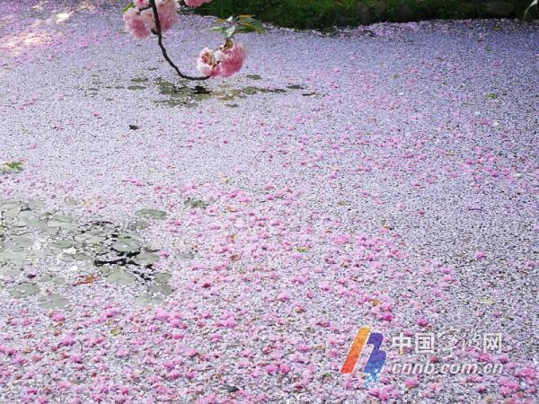 从明开始雨水再度卷土重来 宁波将开启新一轮阵性降水过程