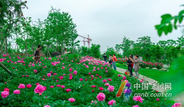 五月的花海！小长假里宁波植物园许你一场繁花盛典