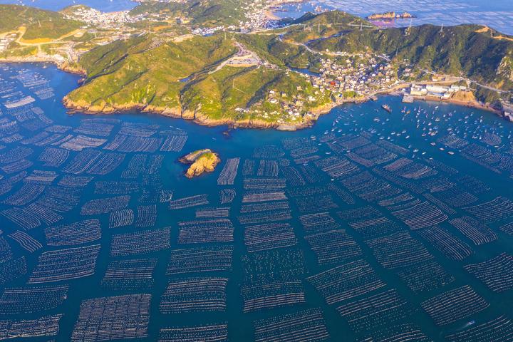 舟山枸杞贻贝养殖基地 最壮观的海上牧场