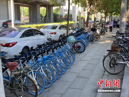 北京某郊区地铁口的共享单车。<a target='_blank' data-cke-saved-href='http://www.chinanews.com/' href='http://www.chinanews.com/' >中新网</a> 吴涛 摄 北京某郊区地铁口的共享单车。<a target='_blank' data-cke-saved-href='http://www.chinanews.com/' href='http://www.chinanews.com/' >中新网</a> 吴涛 摄