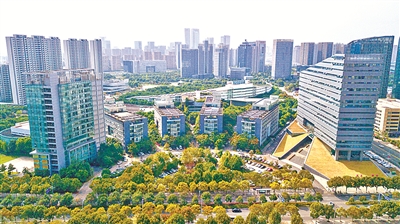 宁波姜山镇经济总量_宁波姜山镇未来规划图(3)
