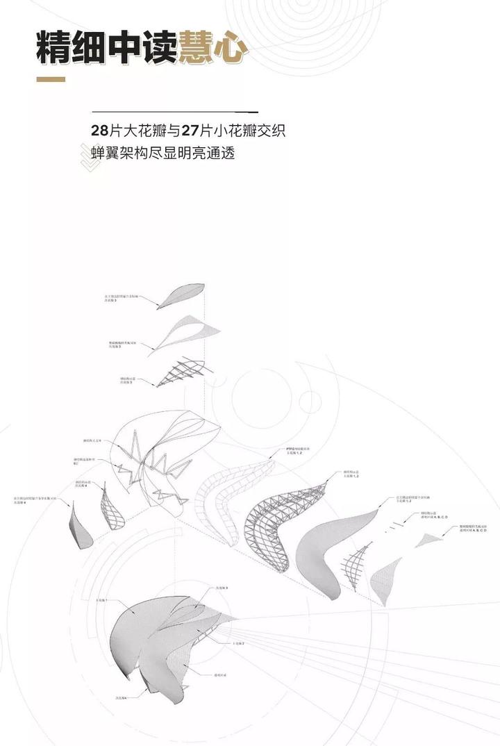 杭州亚运莲花碗首次开放24小时