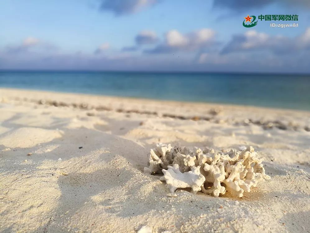 中建岛，他们守在这里……-新闻中心-中国宁波网