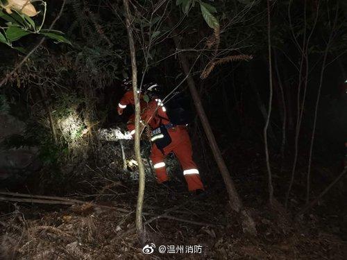 图片来源:浙江省温州市消防救援支队官方微博 点击进入下一页