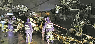 风雨中宁波这些“暖”与“趣”爆棚网络