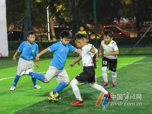 北仑青年公园4_20190818.jpg