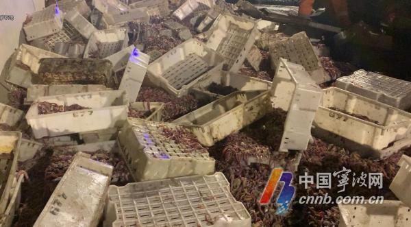 QQ截图20190828150513.jpg