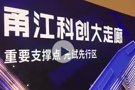 �㽭������������