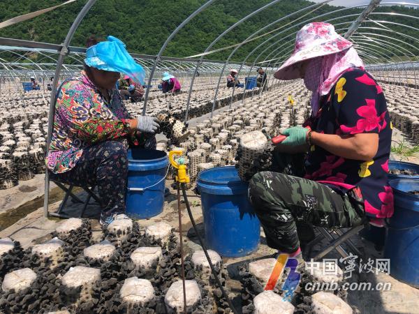 宁波贫困人口_宁波流动人口证明