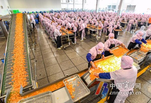 连日来,在象山县华宇食品有限公司,企业开足马力生产橘子罐头,赶制出口美国的订单。近年来,象山立足产业优势,大力扶持本土食品产业,今年1-11月份,该县橘子罐头产值达到3.4亿元。