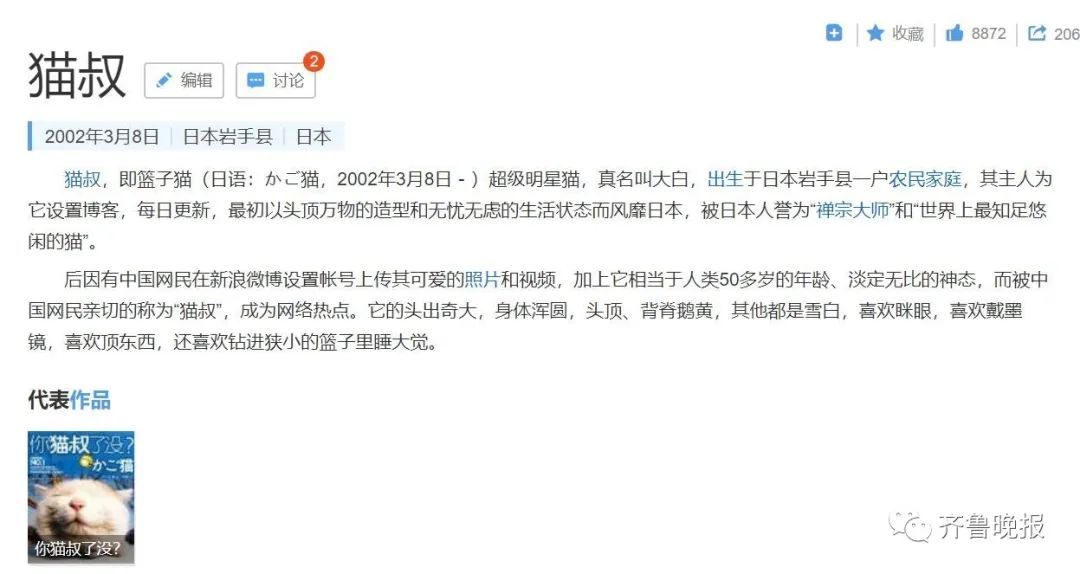 日本网红猫咪去世 网友：我的头像还是离开了我