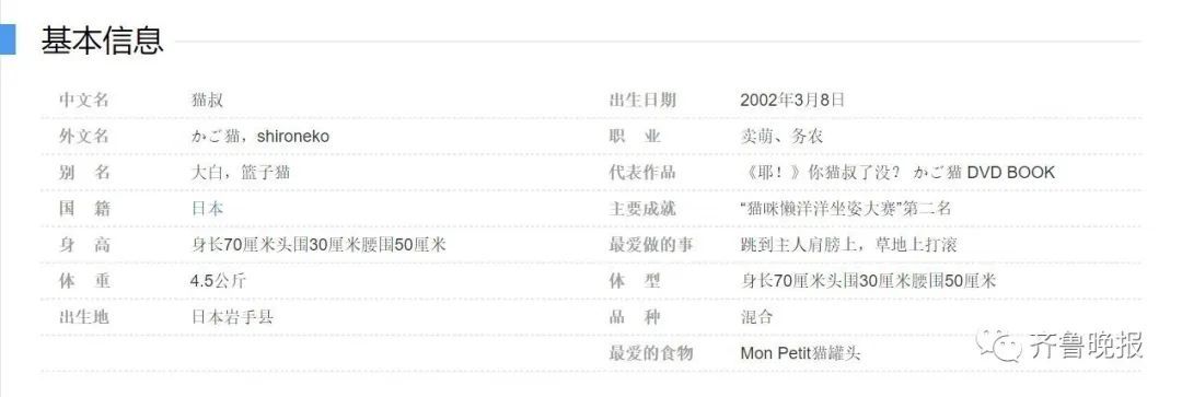 日本网红猫咪去世 网友：我的头像还是离开了我