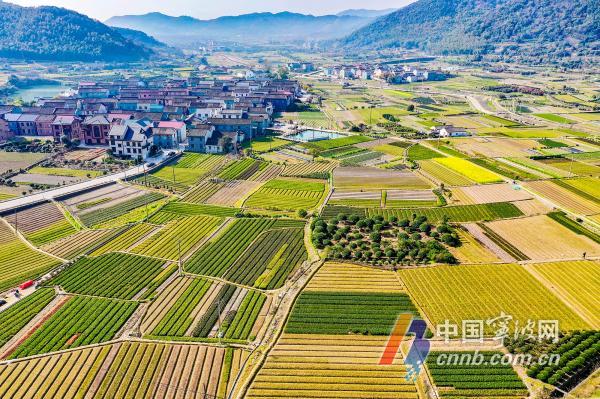 航拍下的北仑春晓街道田园美景