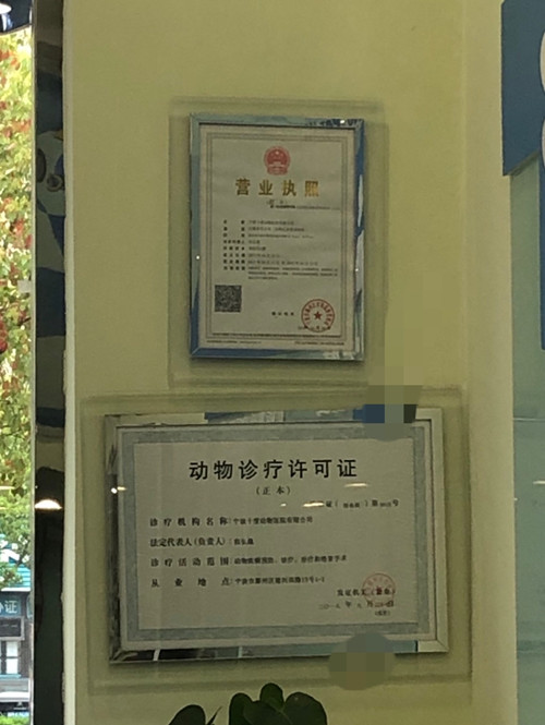 我市一家宠物医院的营业执照和动物诊疗许可证.(仇龙杰 摄)