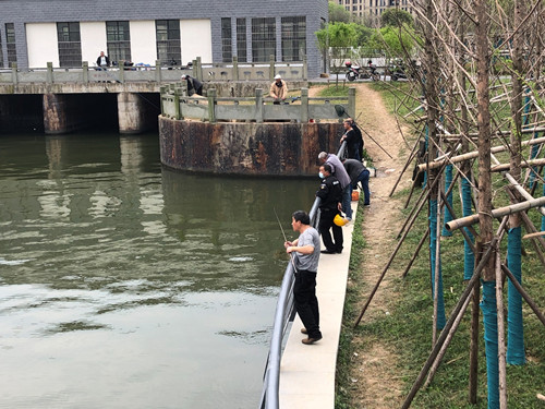 姚江南岸滨江休闲带不文明垂钓者众