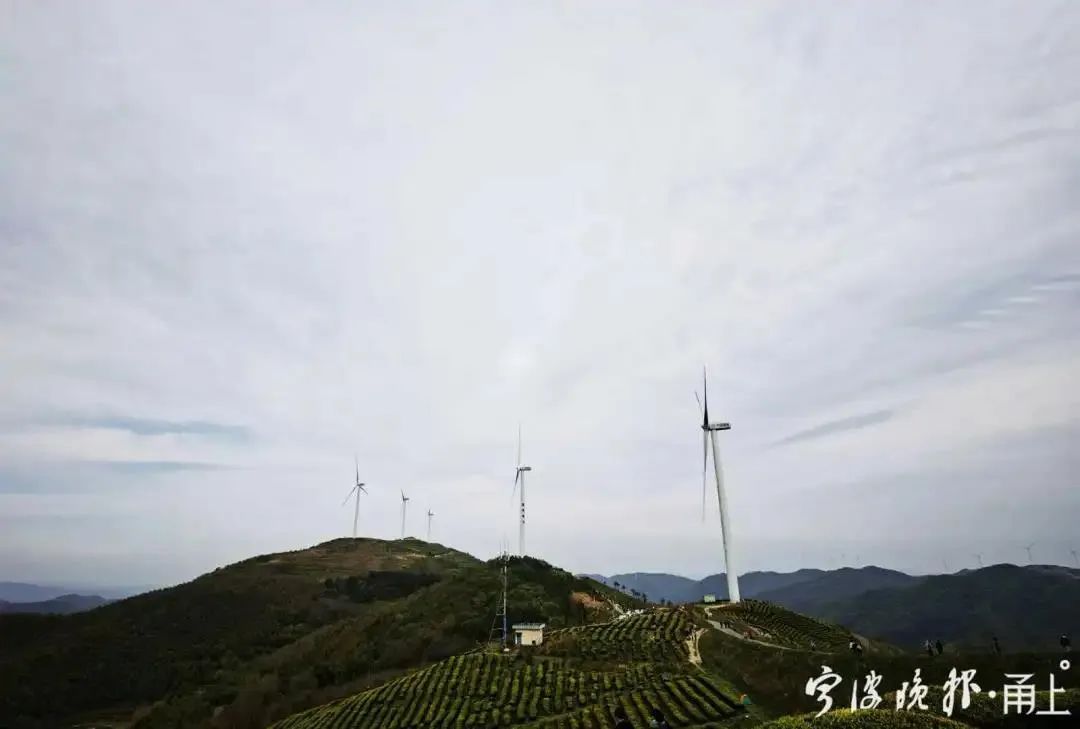横溪镇人口_横溪镇中学(2)