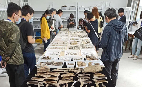 ʡ���￼���о����о�Ա�о�����ʱ