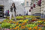 莫斯科古姆百货商场举办花卉节