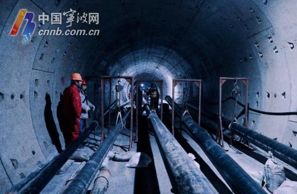 镇海人口_@镇海人,第七次人口普查需要您的支持与配合