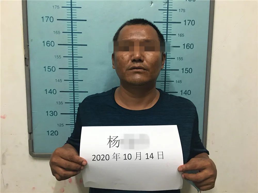 人口普查工作打分_人口普查