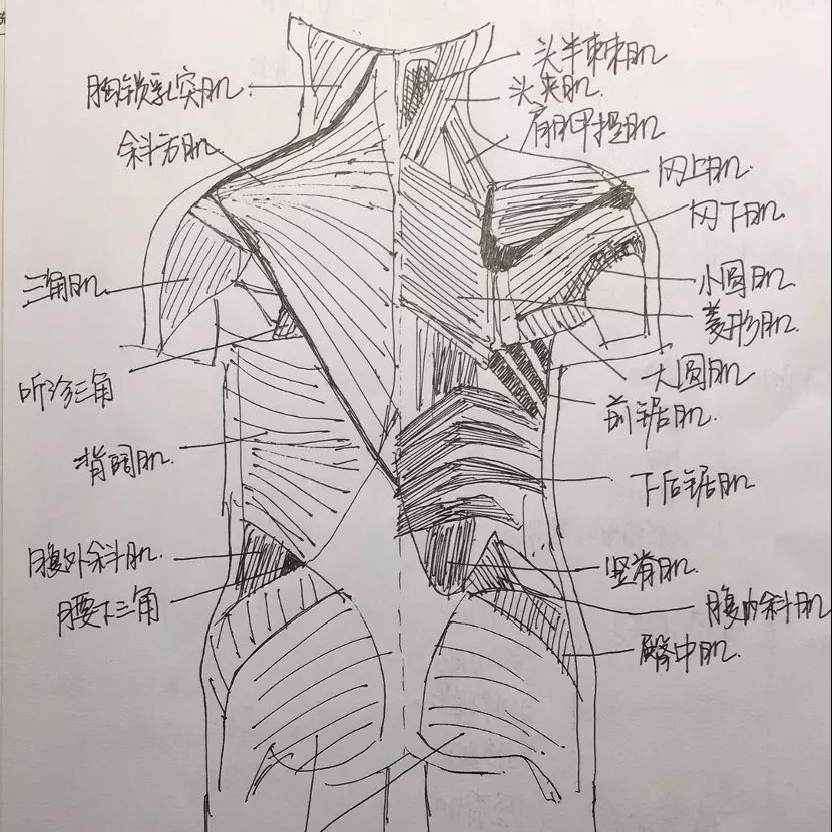 中国宁波网 新闻中心 社会   学霸们的世界到底有多"恐怖"?